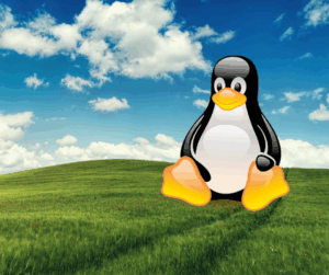 Linux